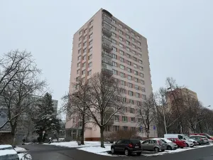 Pronájem bytu 1+kk, Praha - Braník, Vavřenova, 24 m2