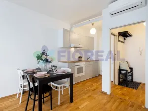 Pronájem bytu 2+kk, Praha - Žižkov, Hartigova, 45 m2