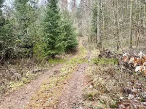 Prodej lesa, Konice, 3343 m2