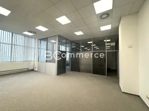 Pronájem kanceláře, Brno, Purkyňova, 50 m2
