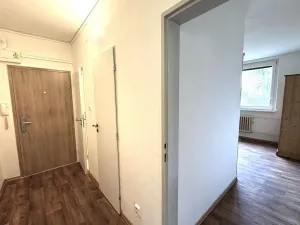 Pronájem bytu 2+1, Hrušovany u Brna, Sídliště, 64 m2