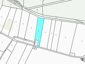 Dražba louky, Blatná, 11080 m2