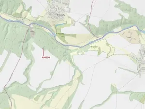 Dražba lesa, Ivančice, 409 m2