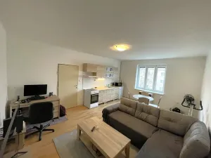 Pronájem bytu 1+kk, Plzeň, Guldenerova, 34 m2