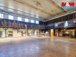 Prodej restaurace, Bílovec - Lubojaty, 500 m2