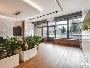 Prodej kanceláře, Olomouc, Rokycanova, 115 m2