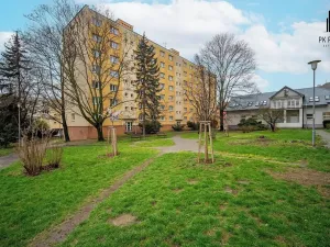 Pronájem bytu 3+kk, Brno, Merhautova, 55 m2