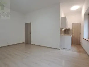 Pronájem bytu 1+kk, Ostrava, Na Fifejdách, 34 m2