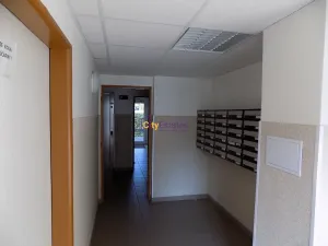 Pronájem bytu 1+1, Praha - Troja, Krynická, 40 m2