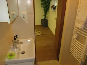 Pronájem bytu 1+kk, Jablonec nad Nisou, Janáčkova, 21 m2