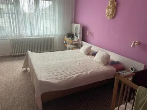 Dražba rodinného domu, Tovačov, Dvořákova, 440 m2