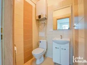 Pronájem komerční nemovitosti, Hodonín, Příční, 46 m2