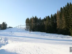 Prodej chaty, Kraslice, 30 m2