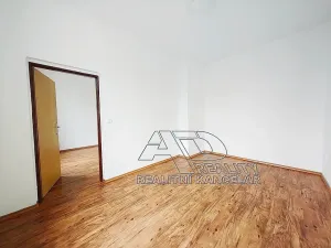 Pronájem atypického bytu, České Budějovice, 54 m2