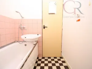 Pronájem bytu 2+1, Plzeň - Severní Předměstí, Elišky Krásnohorské, 65 m2