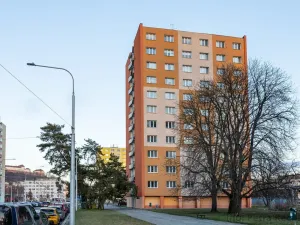 Pronájem bytu 1+kk, Brno - Staré Brno, Veletržní, 19 m2