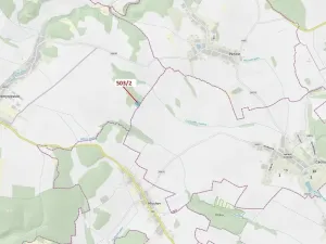 Dražba lesa, Přemyslovice, 6942 m2