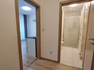 Pronájem bytu 1+kk, České Budějovice, Lidická tř., 29 m2