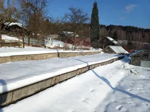 Prodej zahrady, Desná, Sokolská, 775 m2