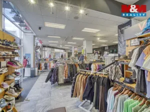Pronájem obchodního prostoru, Plzeň - Vnitřní Město, Zbrojnická, 598 m2