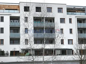 Pronájem bytu 2+kk, České Budějovice, U Lučního jezu, 61 m2