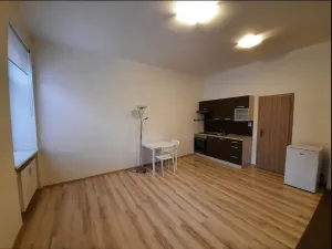 Pronájem bytu 1+kk, Ostrava - Moravská Ostrava, Husova, 29 m2