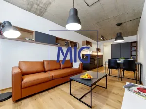 Pronájem bytu 2+kk, Brno, Cejl, 48 m2