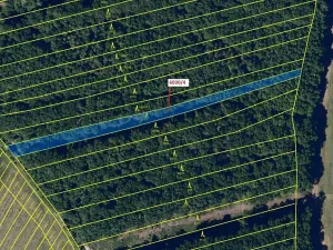 Dražba lesa, Archlebov, 2108 m2