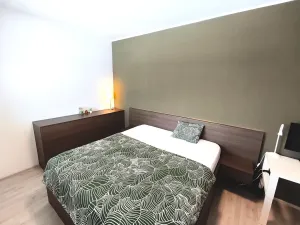 Prodej bytu 3+kk, Brno, Kigginsova, 81 m2