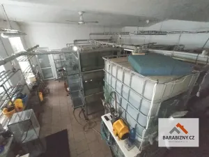 Prodej rodinného domu, Dvůr Králové nad Labem, 340 m2