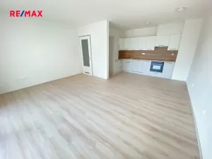 Pronájem bytu 3+kk, Plzeň, U Borských kasáren, 90 m2