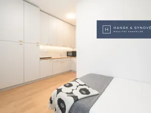 Pronájem bytu 1+kk, Brno, Francouzská, 20 m2