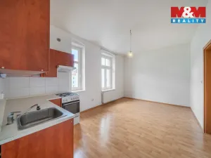 Pronájem bytu 1+1, Plzeň - Východní Předměstí, 44 m2