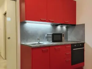 Pronájem bytu 1+kk, Praha - Libeň, Kurta Konráda, 39 m2