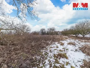 Prodej pozemku pro bydlení, Blovice - Vlčice, 2143 m2