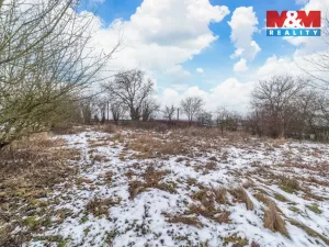 Prodej pozemku pro bydlení, Blovice - Vlčice, 2143 m2