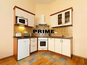 Pronájem bytu 2+kk, Praha - Vinohrady, Moravská, 53 m2