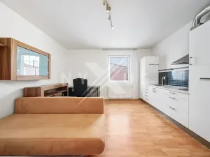 Pronájem bytu 2+kk, Břežany II, 47 m2