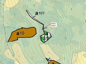 Dražba lesa, Zubrnice, 85 m2