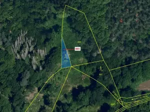 Dražba lesa, Dešov, 111 m2