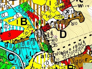 Dražba lesa, Spešov, 135 m2