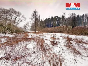 Prodej rybníku, Dolní Hořice - Pořín, 8552 m2