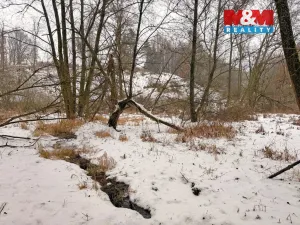 Prodej rybníku, Dolní Hořice - Pořín, 8552 m2