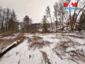 Prodej rybníku, Dolní Hořice - Pořín, 8552 m2