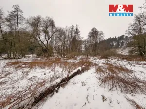 Prodej rybníku, Dolní Hořice - Pořín, 8552 m2