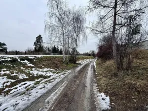 Prodej pozemku, Brázdim - Starý Brázdim, 1371 m2