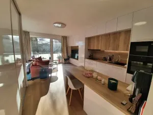 Pronájem bytu 1+kk, Jihlava, U Cihelny, 40 m2