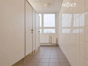 Pronájem kanceláře, České Budějovice, K. Světlé, 35 m2