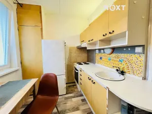 Prodej bytu 1+1, České Budějovice, M. Horákové, 31 m2