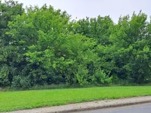 Prodej pozemku pro bydlení, Úpohlavy, 1074 m2